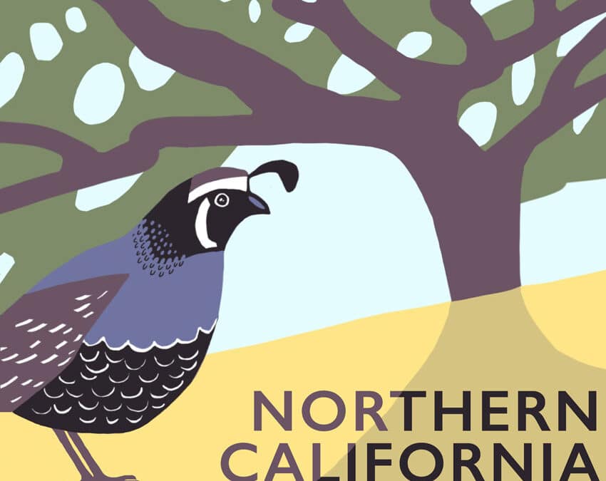 Quail Retreat