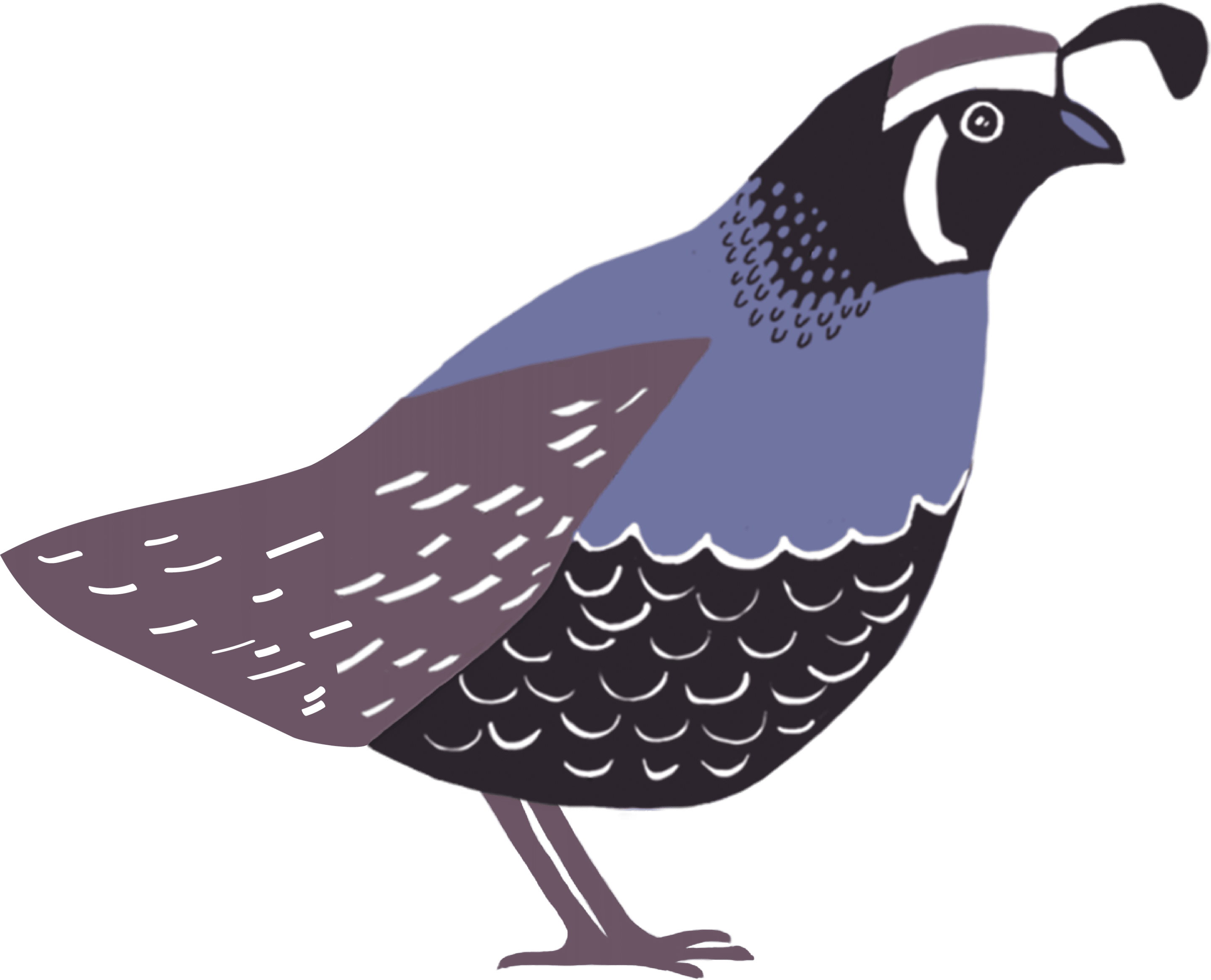 Quail Icon